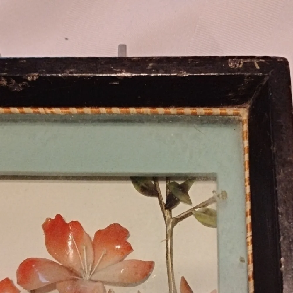 People's Republic of China, Black Framed Shadowbox With Shell Flowers & Birds